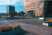 石の橋